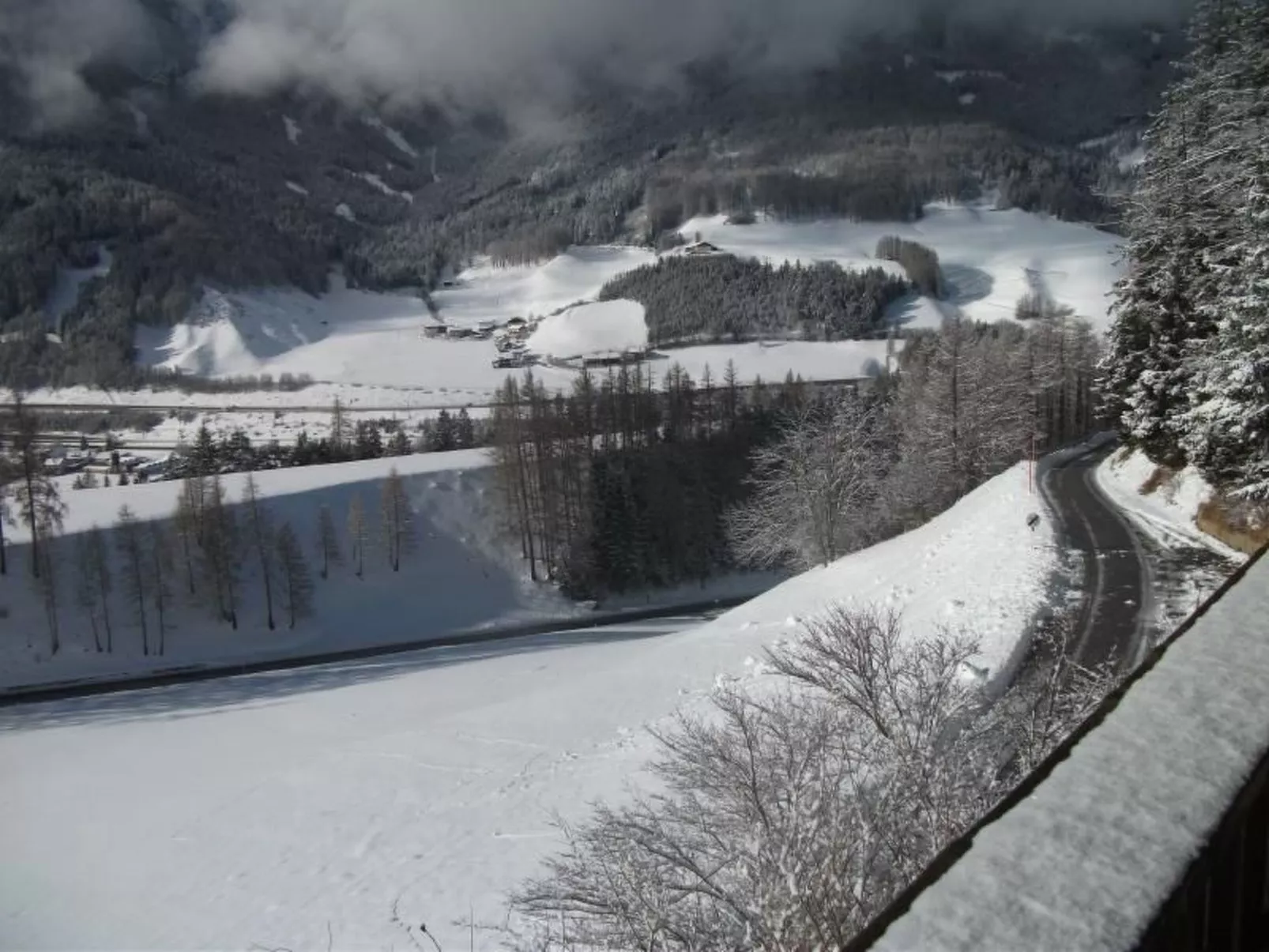 In ruhiger Lage am Waldrand-Image-tags.info