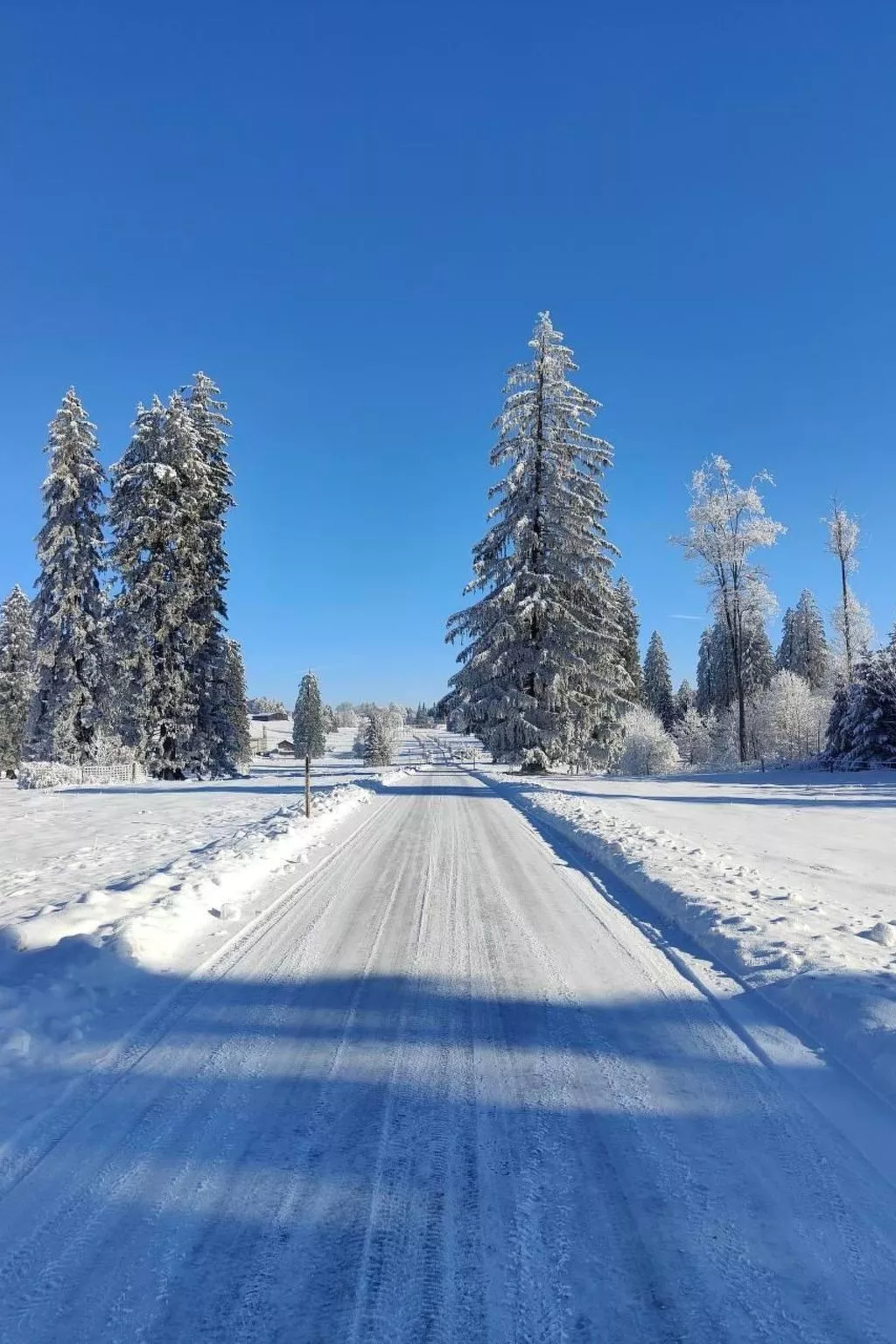 La ferme de la gaby-Buiten