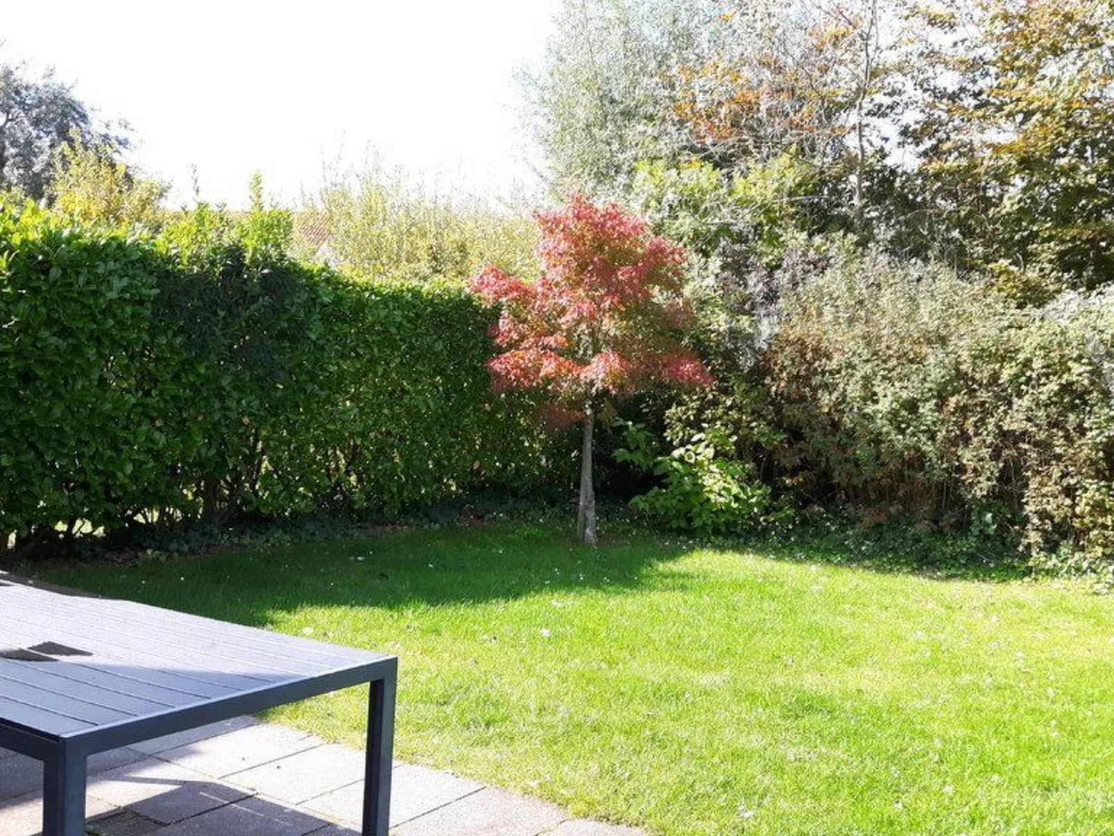 Lieblingsplatz-Buiten