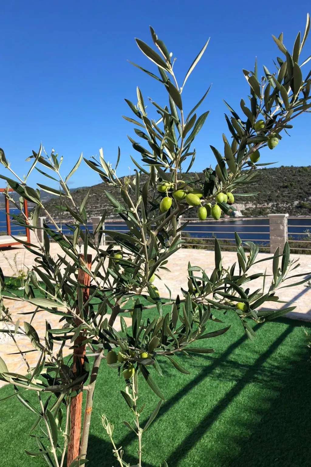 Wohnung "Olea Resort" mit Gemeinschaftspool-Buiten