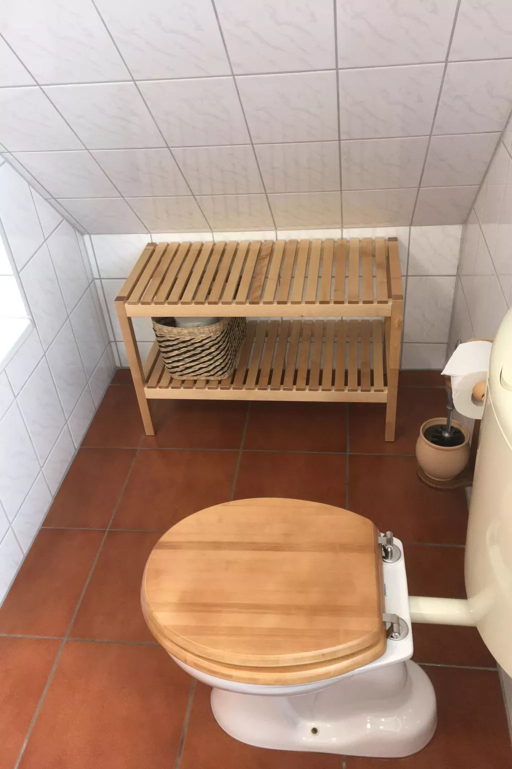 Möwe in Ummanz-Lüßvitz-Binnen