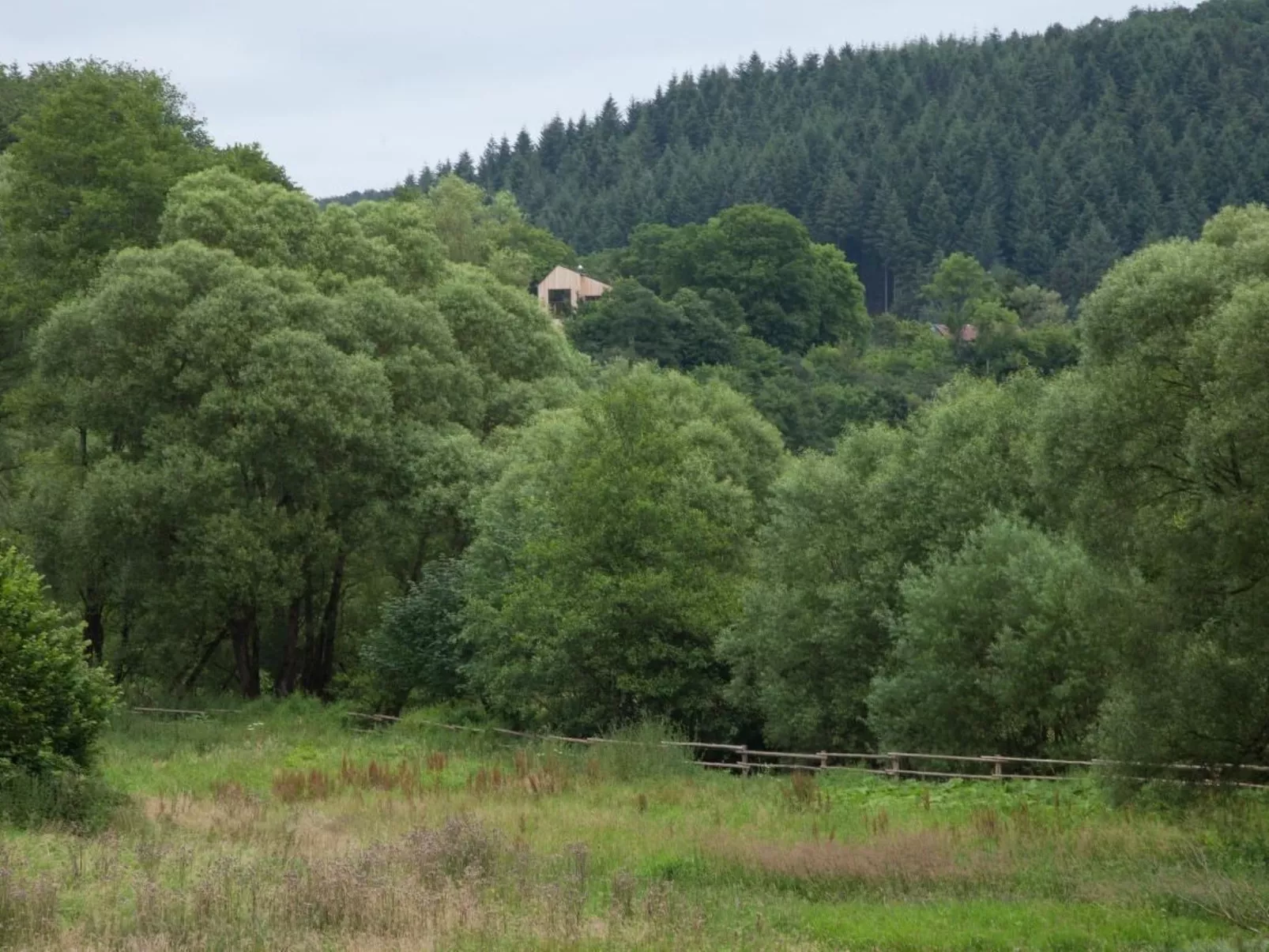 Moderner Holzhausneubau in der Eifel-Image-tags.info