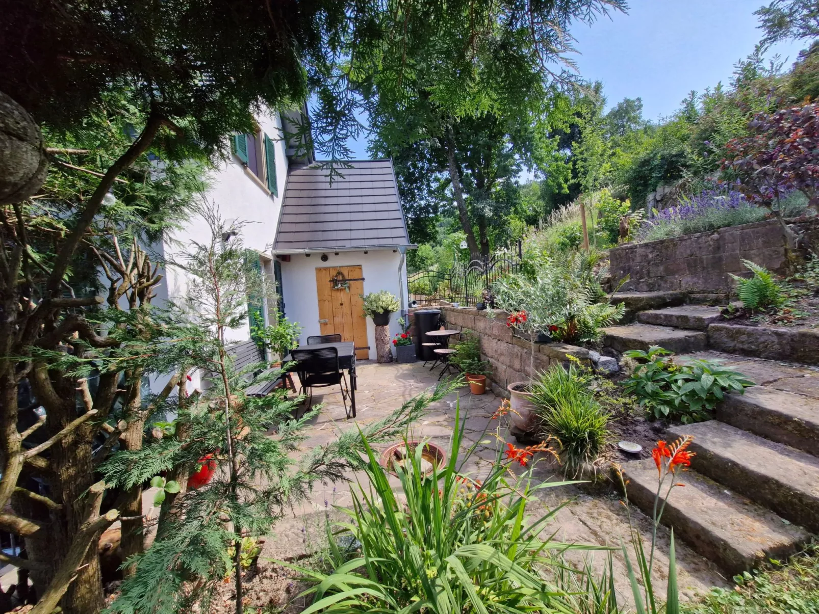 Schwarzwald Königin-Buiten