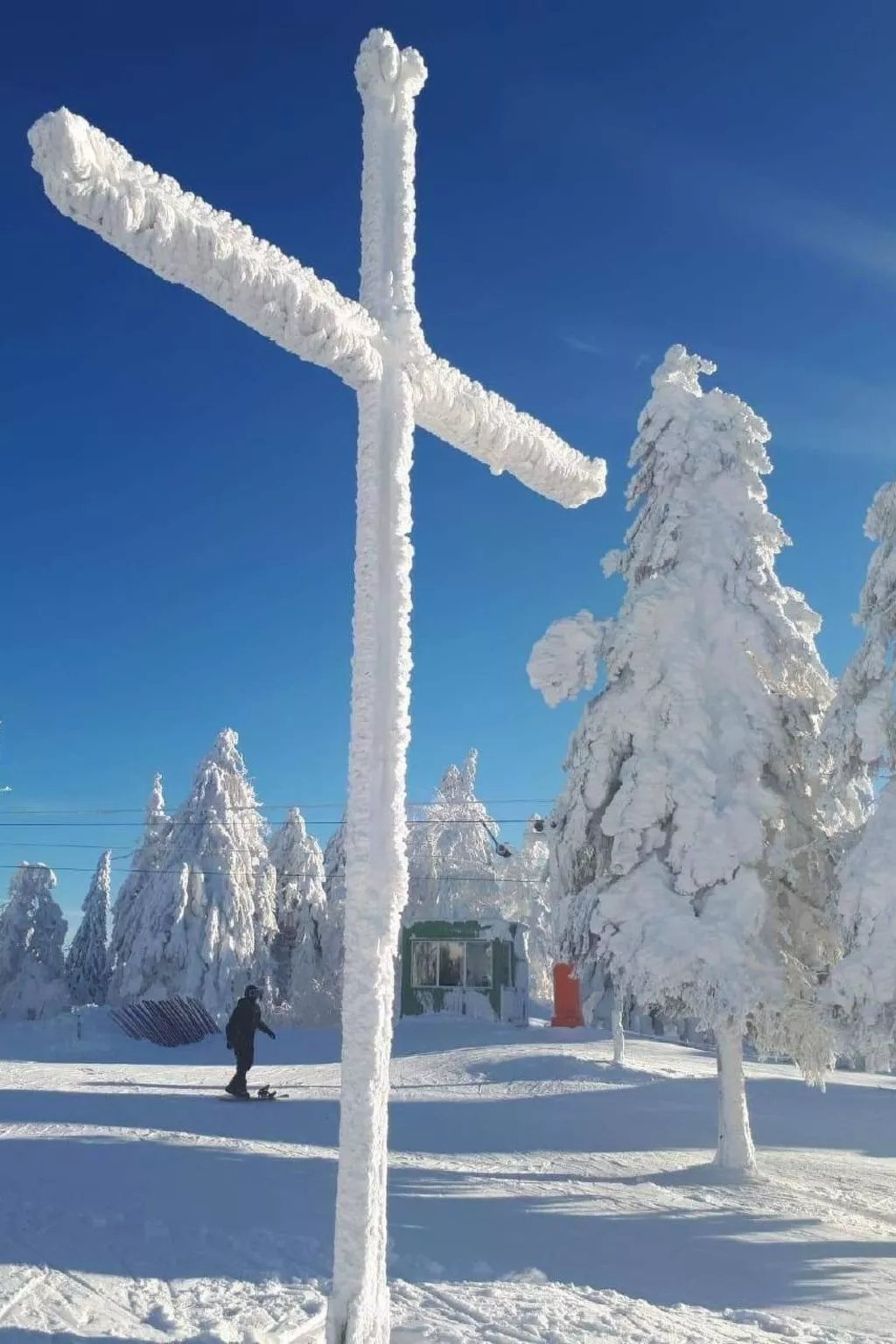 Haus Annemarie-Image-tags.info