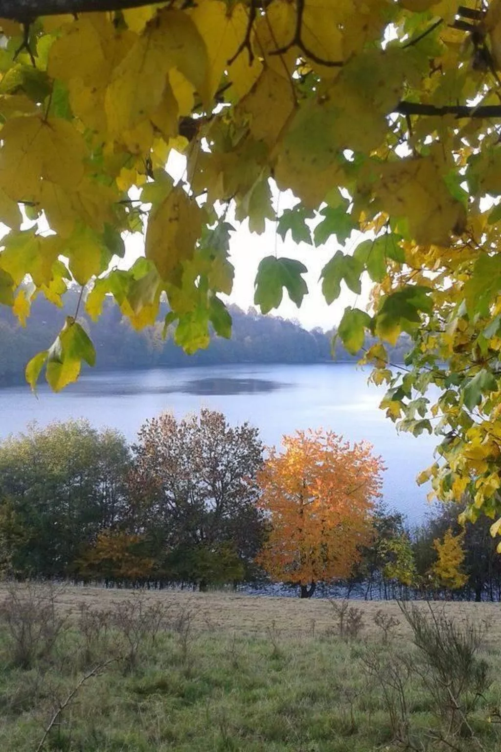 Landhaus Erika-Buiten