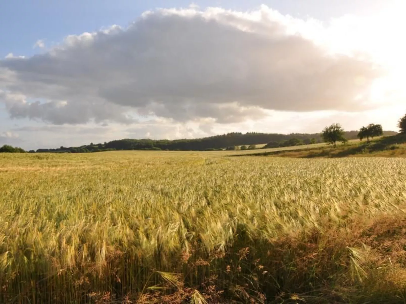 Hof Rodenkrog Fewo 2-Buiten