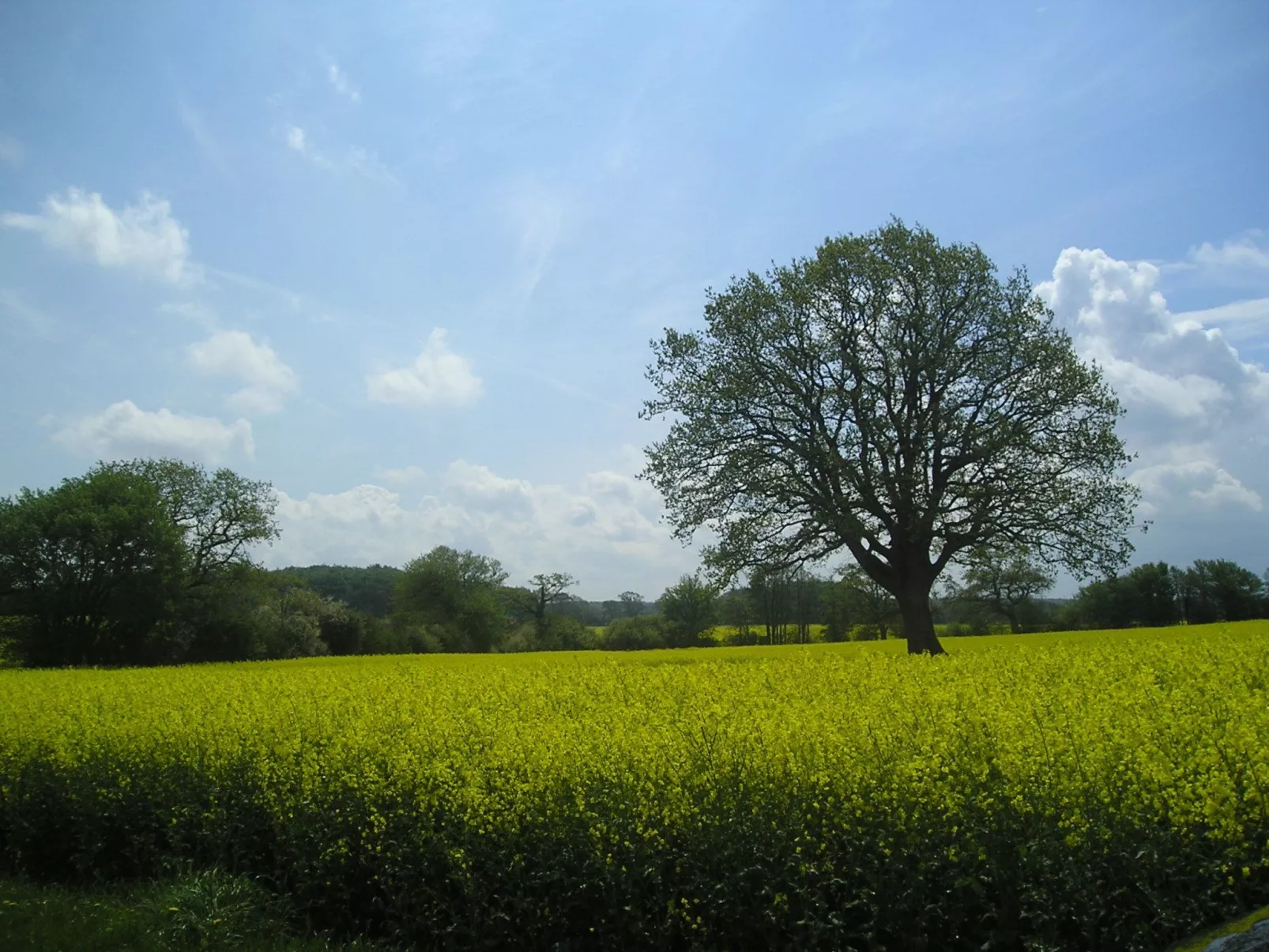Spitzdachferienhaus mit Schwedenofen und Garten-Buiten