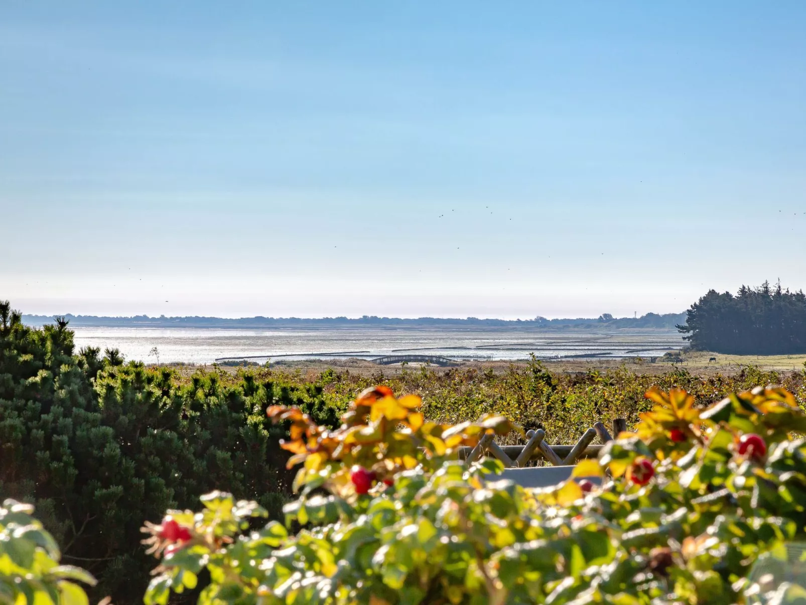 Sönshörn - S8M - in Munkmarsch-Buiten