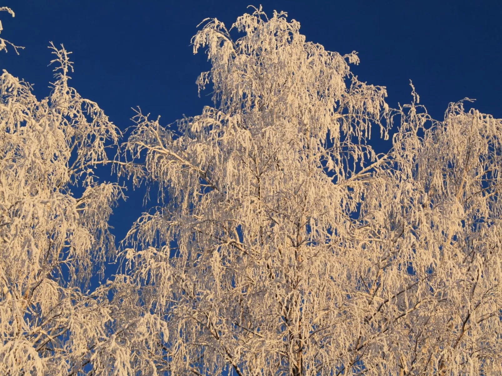 Anwesen mit eigenem Garten und Grill-Buiten