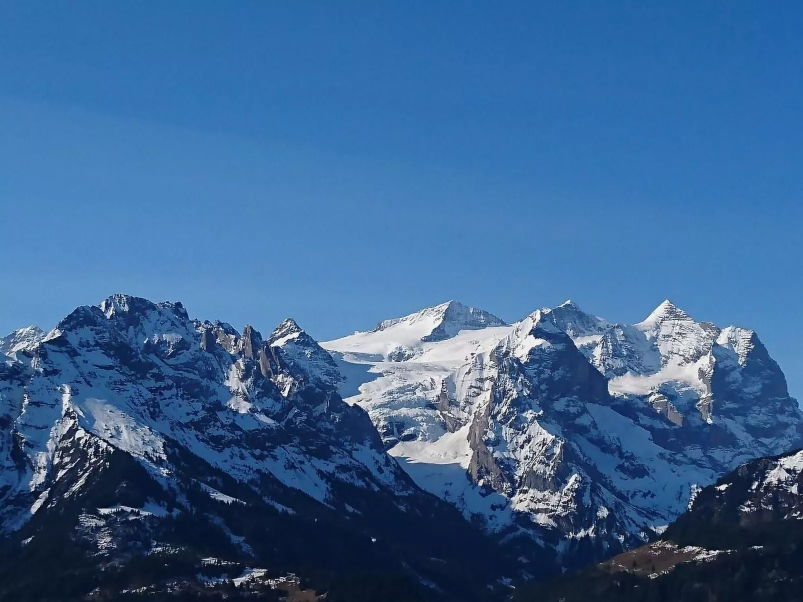 Obererli-Image-tags.info