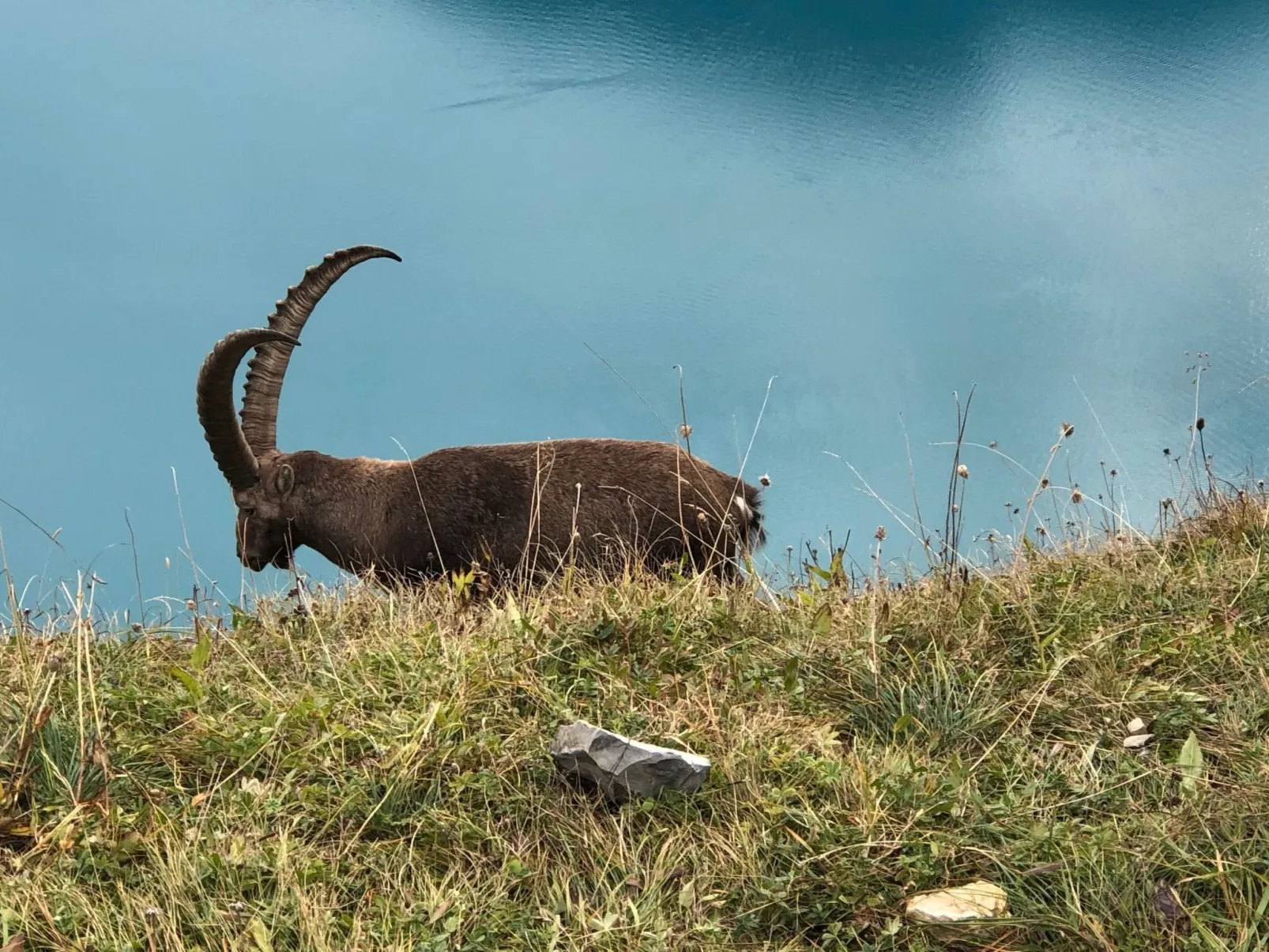 Wohnung Niesenblick-Buiten