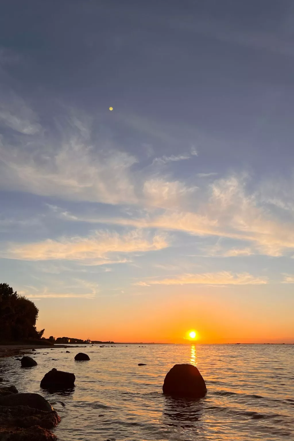 Lobster im Nauticum-Image-tags.info