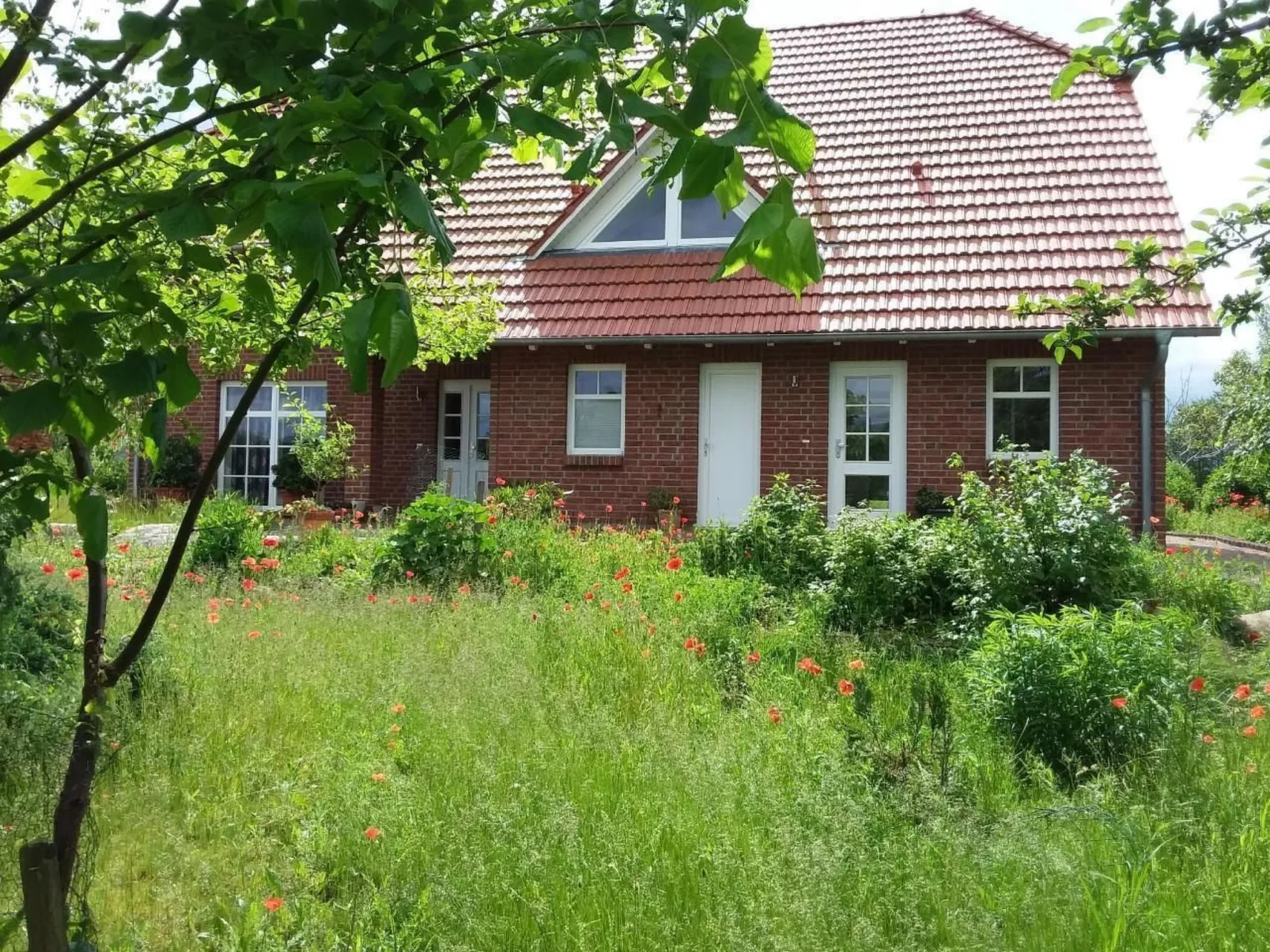 Schmetterling-Image-tags.info