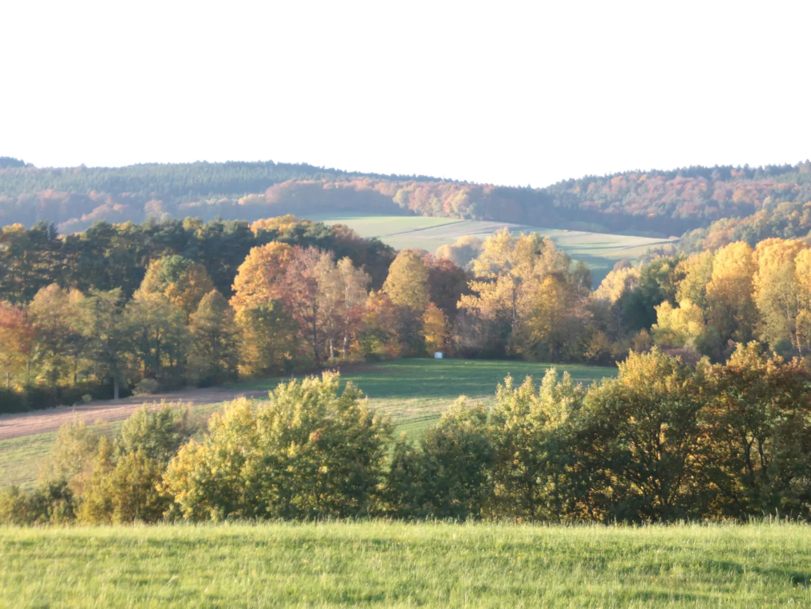 Haus Schmetterfly-Buiten