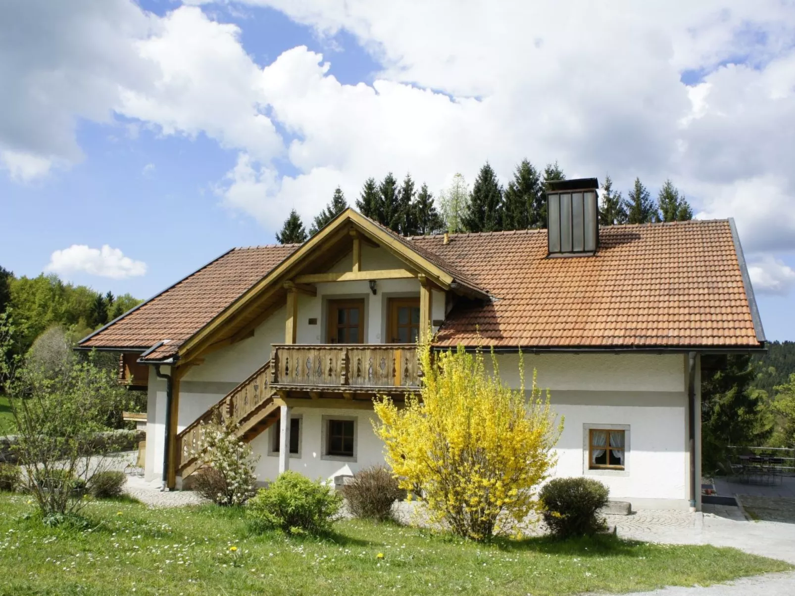 Zwoa-Image-tags.info