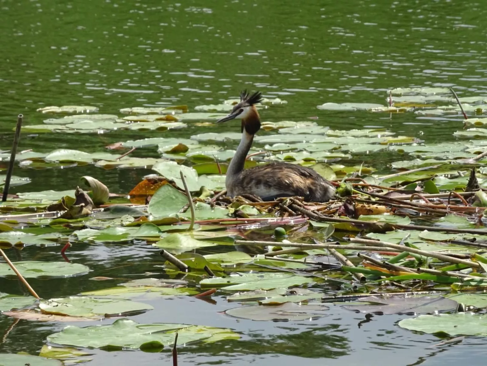 Fh "Molkenberg"-Image-tags.info