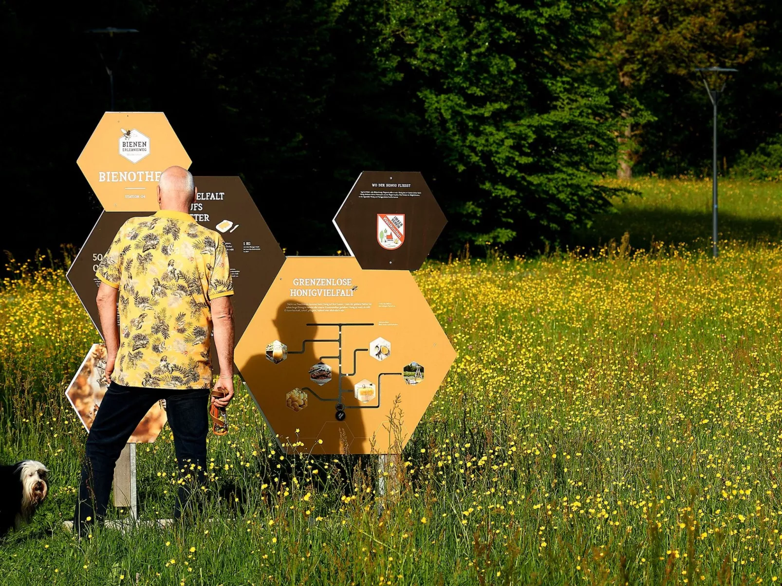 In Waldkirchen mit Garten und Seeblick-Buiten