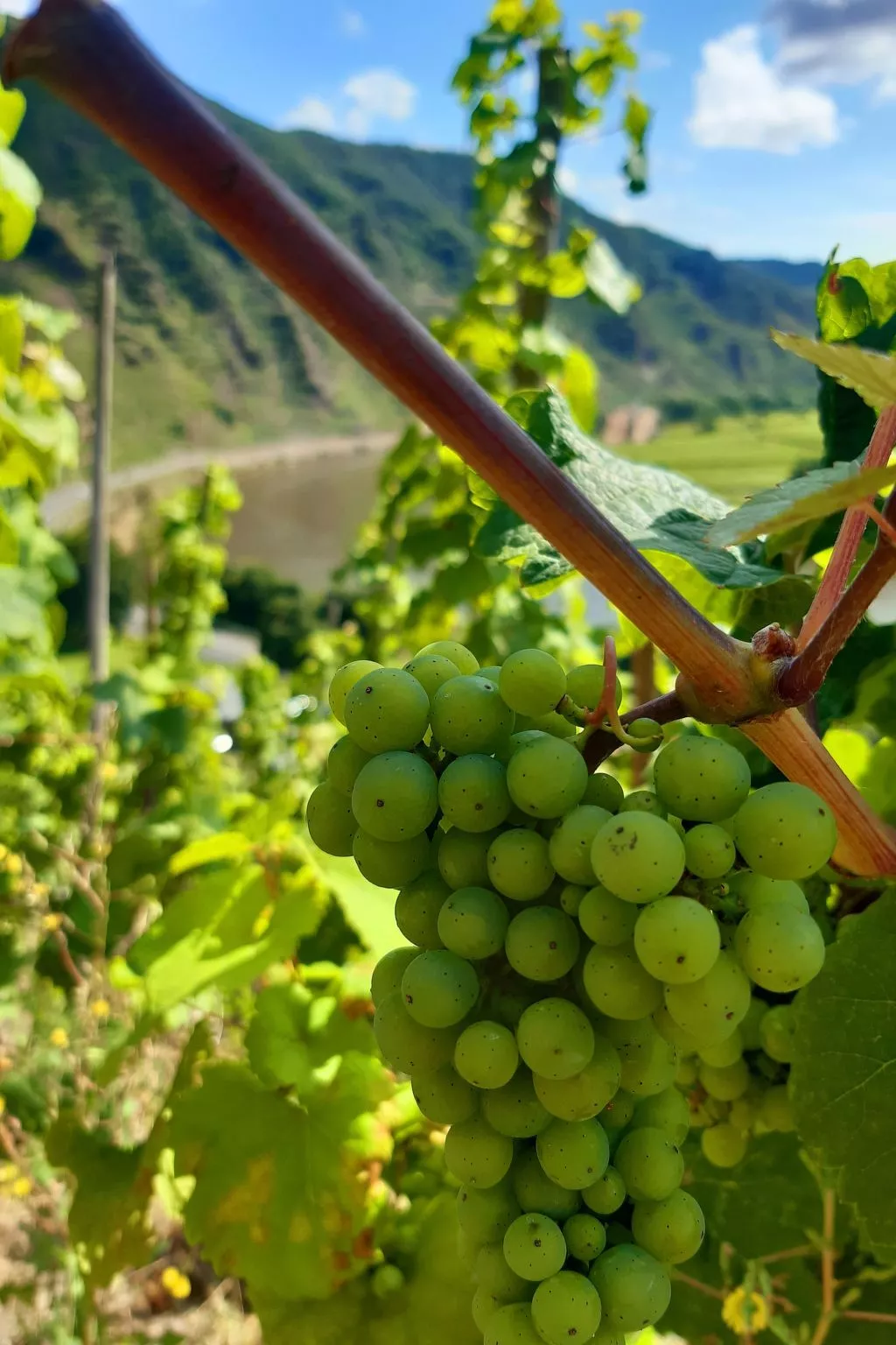 Landhaus Erika-Image-tags.info