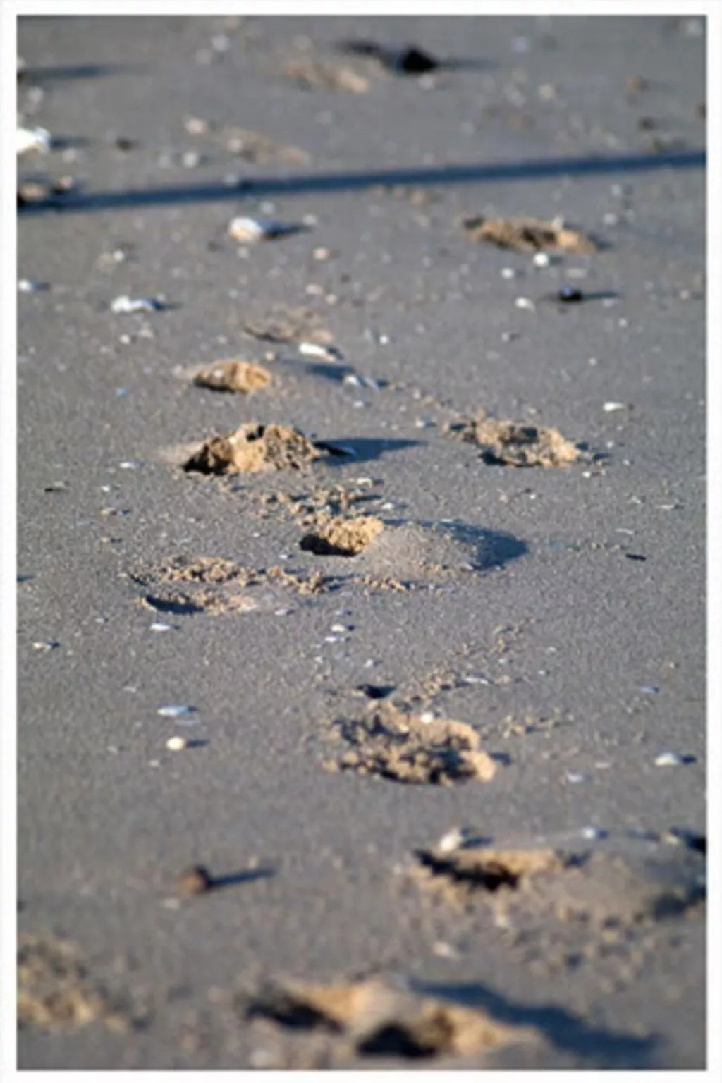Großes Ferienhaus in Müggendorf mit Garten-Image-tags.info