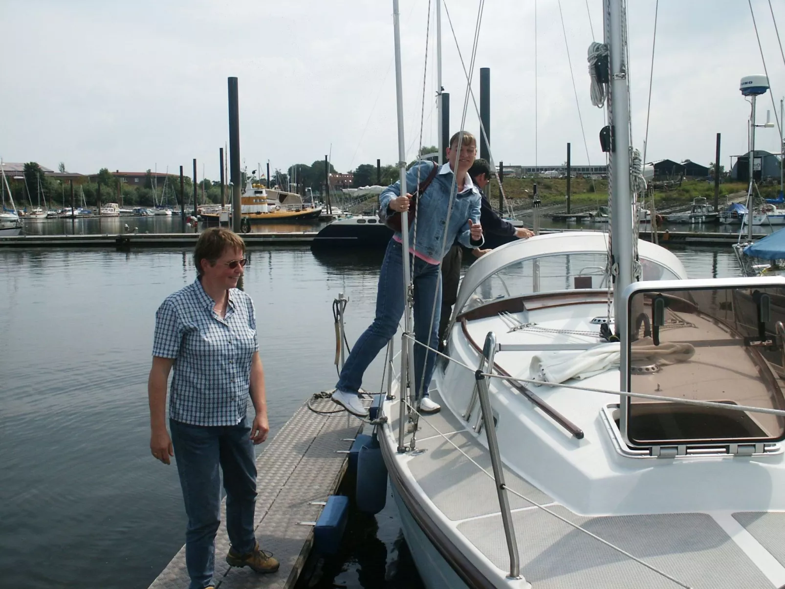Heringsmöwe in Neue Tiefe-Buiten