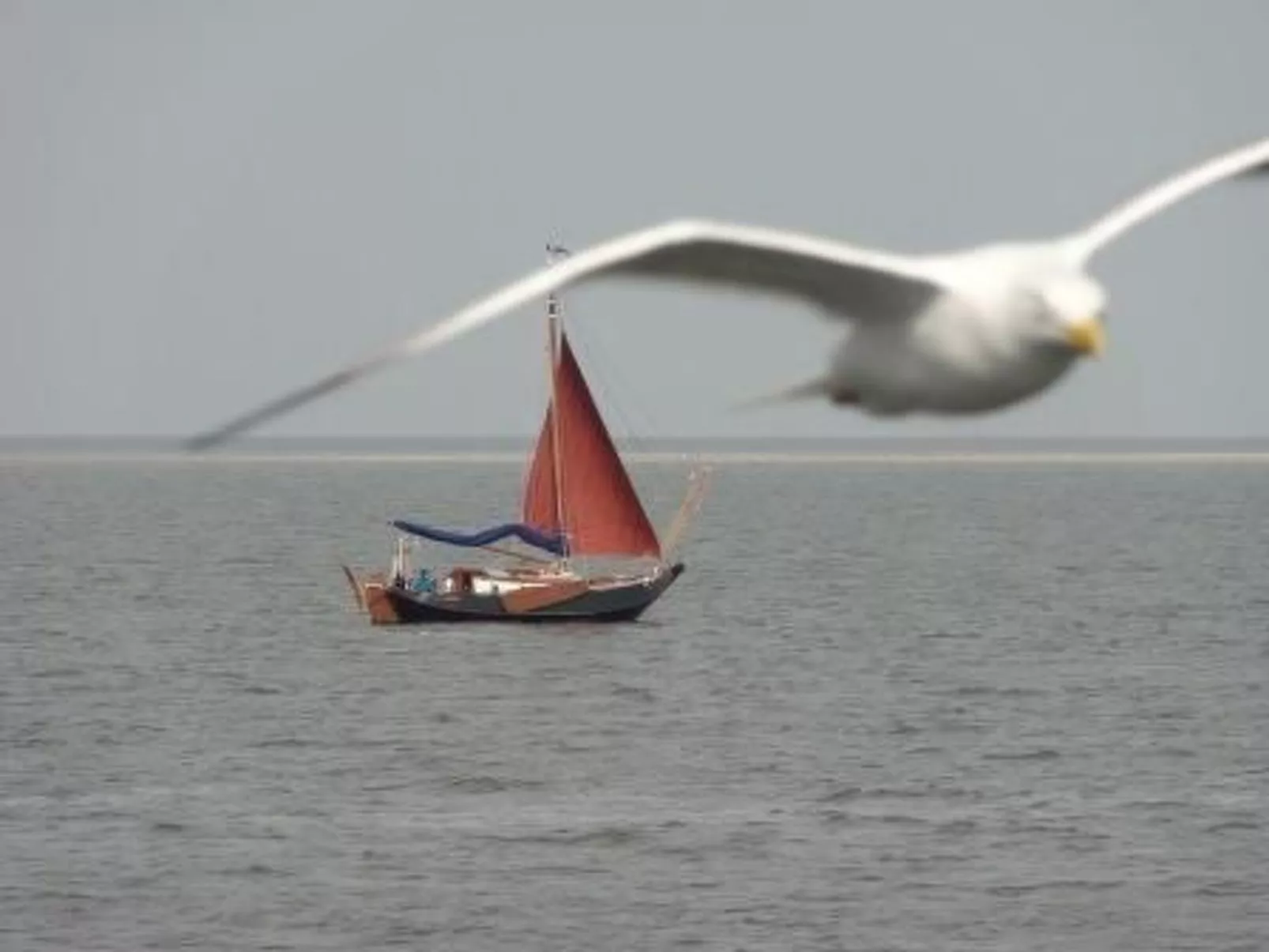 "Der Austernfischer"-Buiten