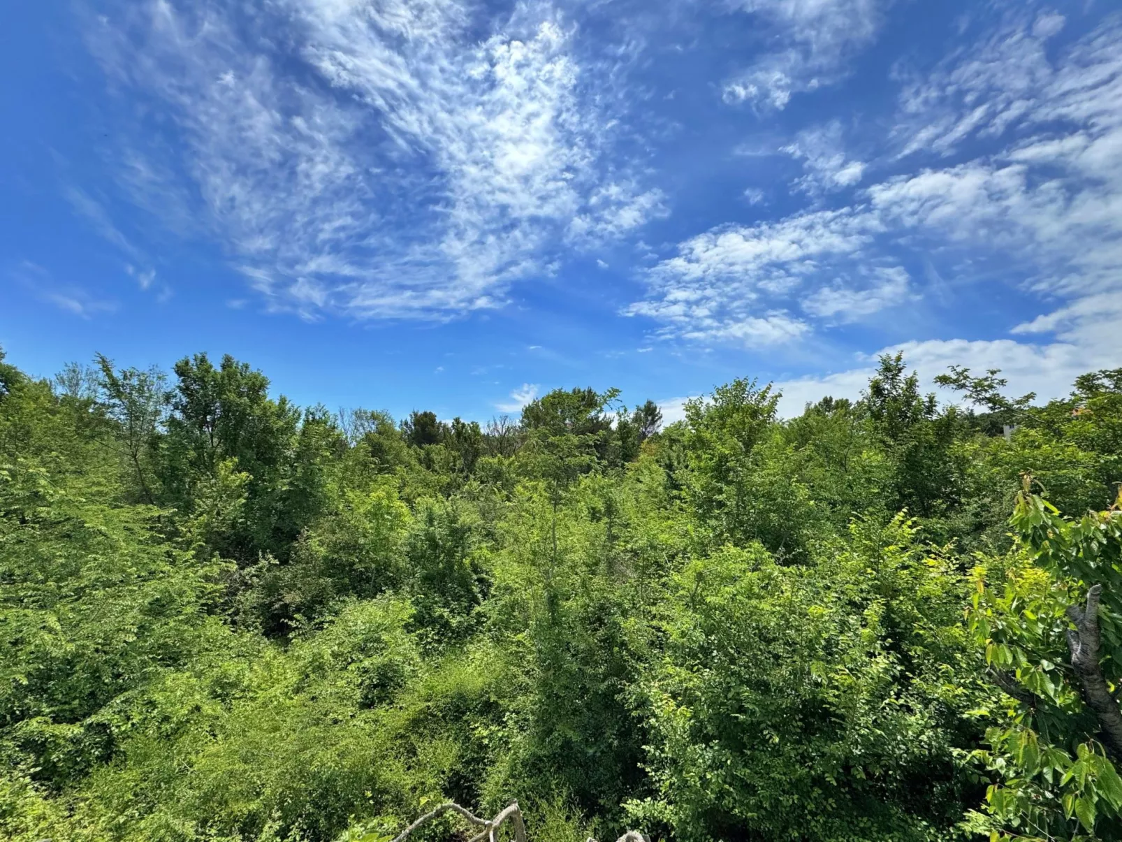 Apartment Nikolic-Buiten