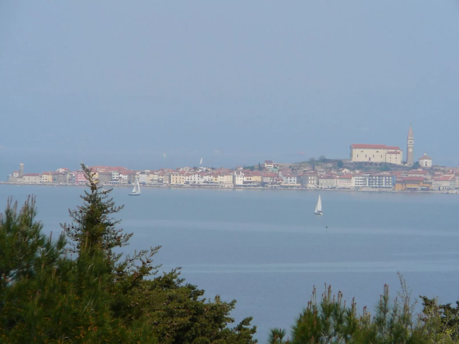 Villa del Golfo, Apartement mit Garten und Pool-Buiten