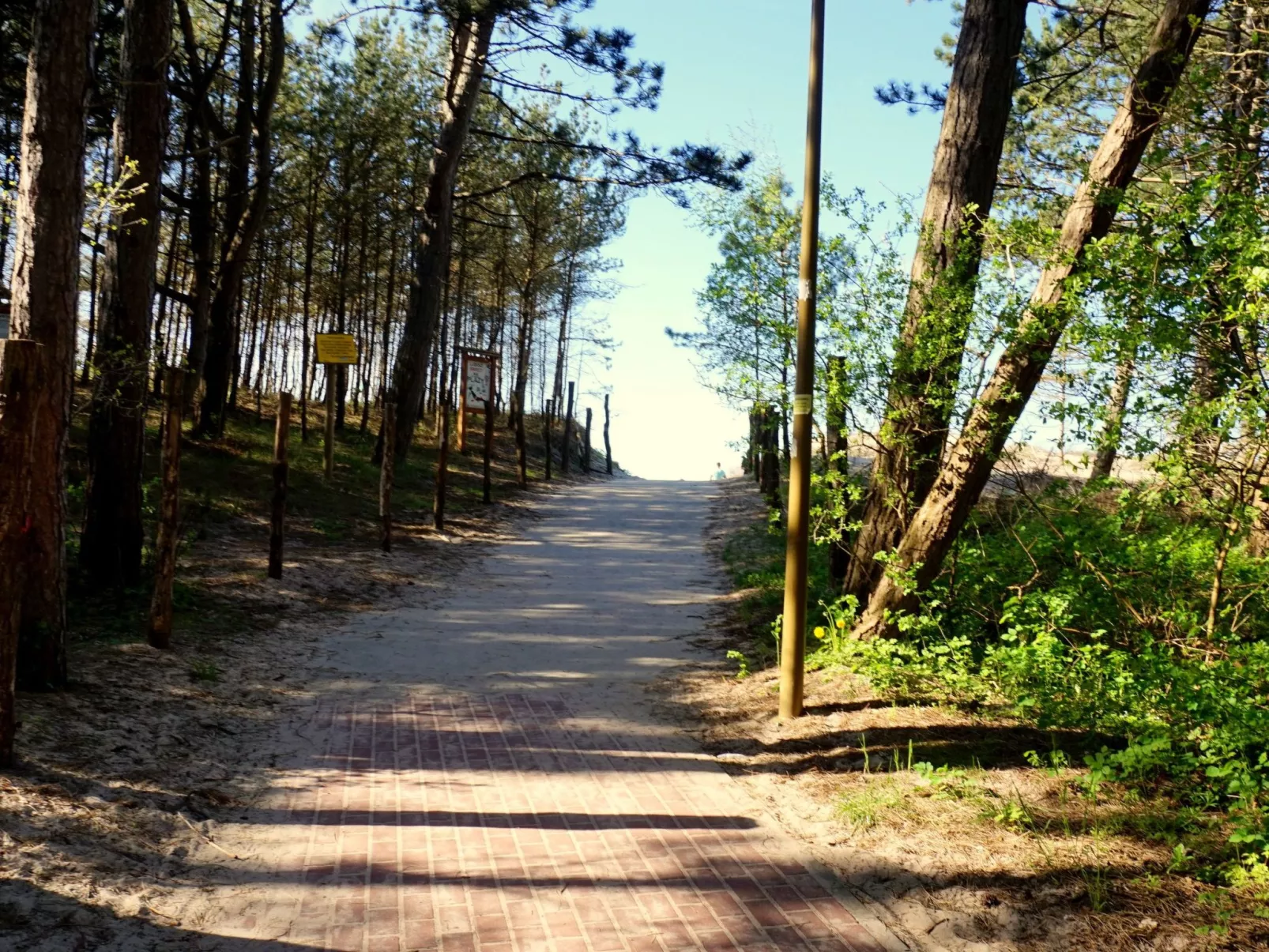 "Paradise Star2" mit eigener Terrasse-Buiten