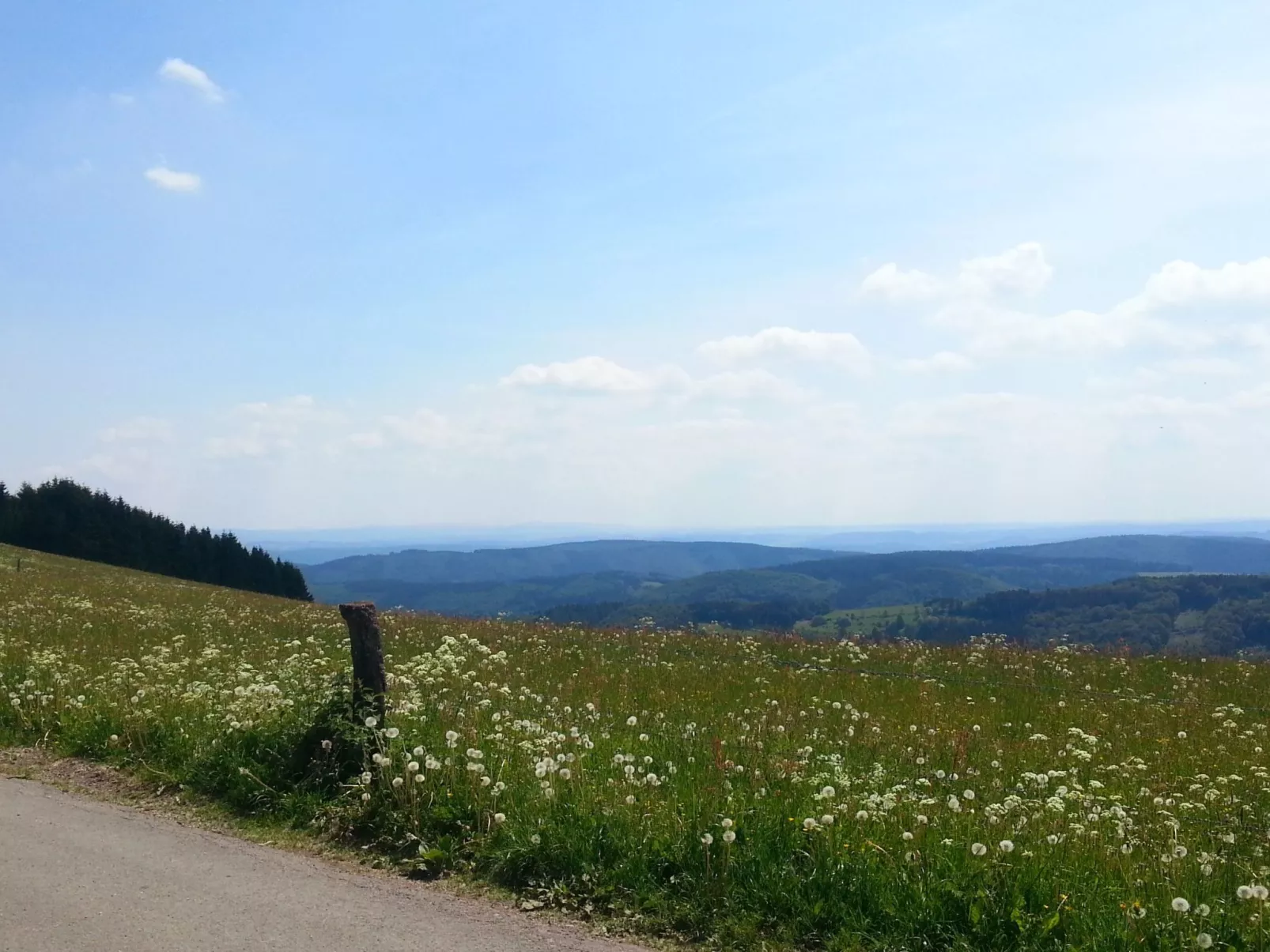 Anna-Image-tags.info