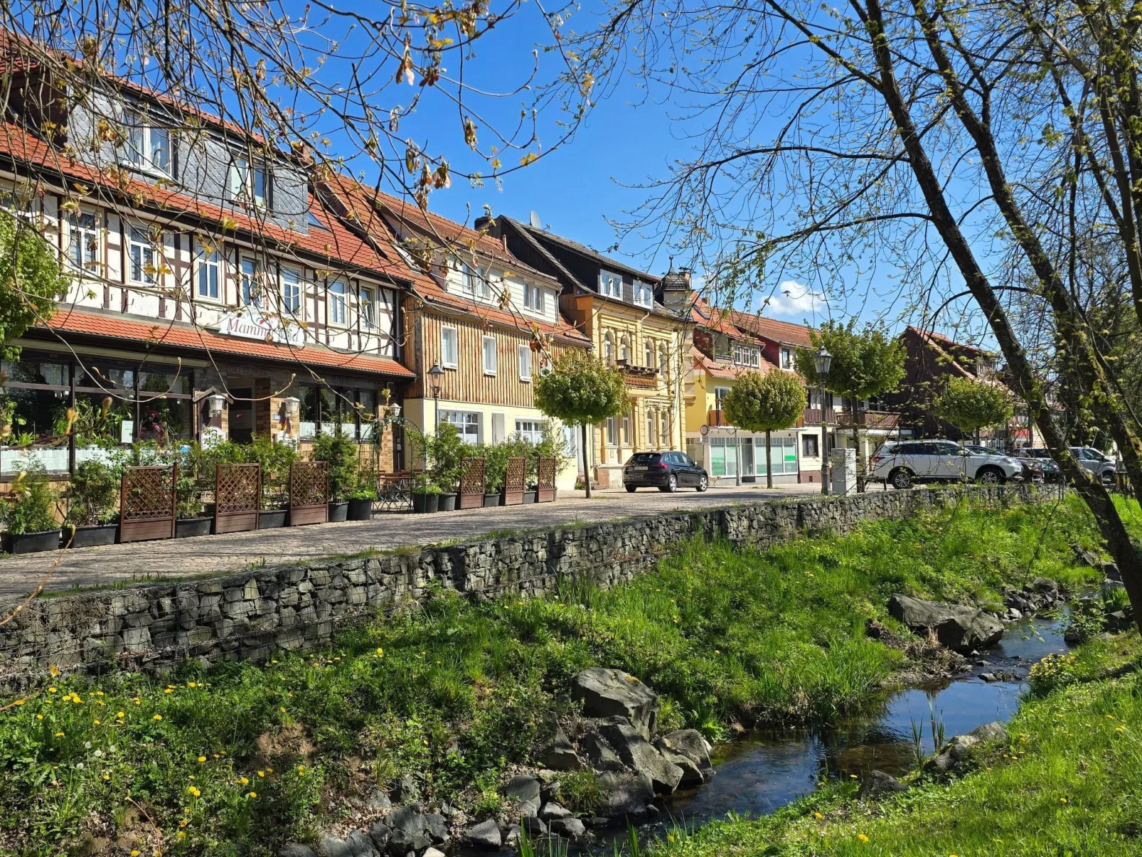 WALDLIEBE ♡-Buiten