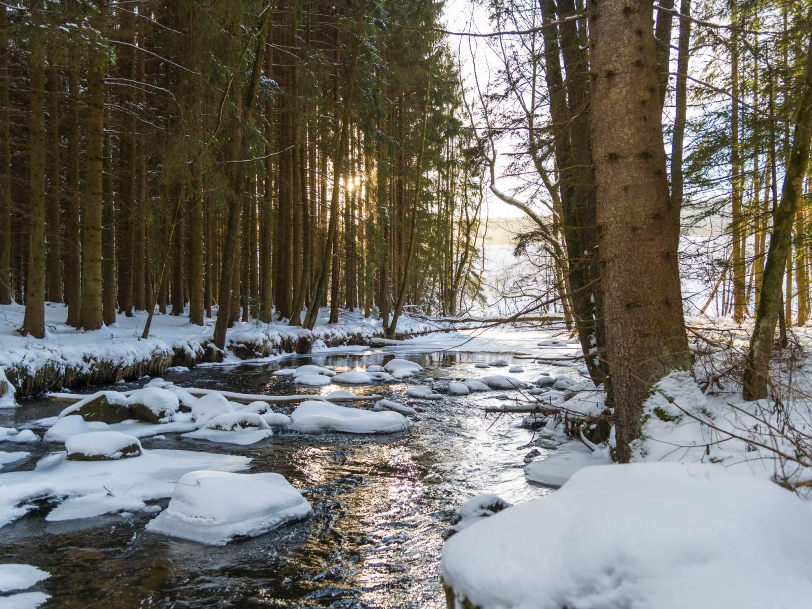 Chalet Försterei-Buiten