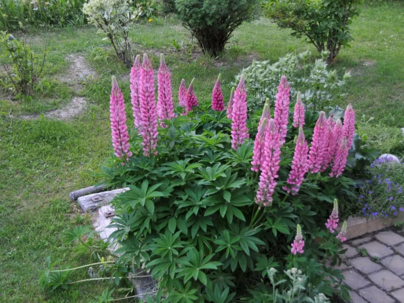 Studio mit traumhaftem Blick auf das Matterhorn-Buiten