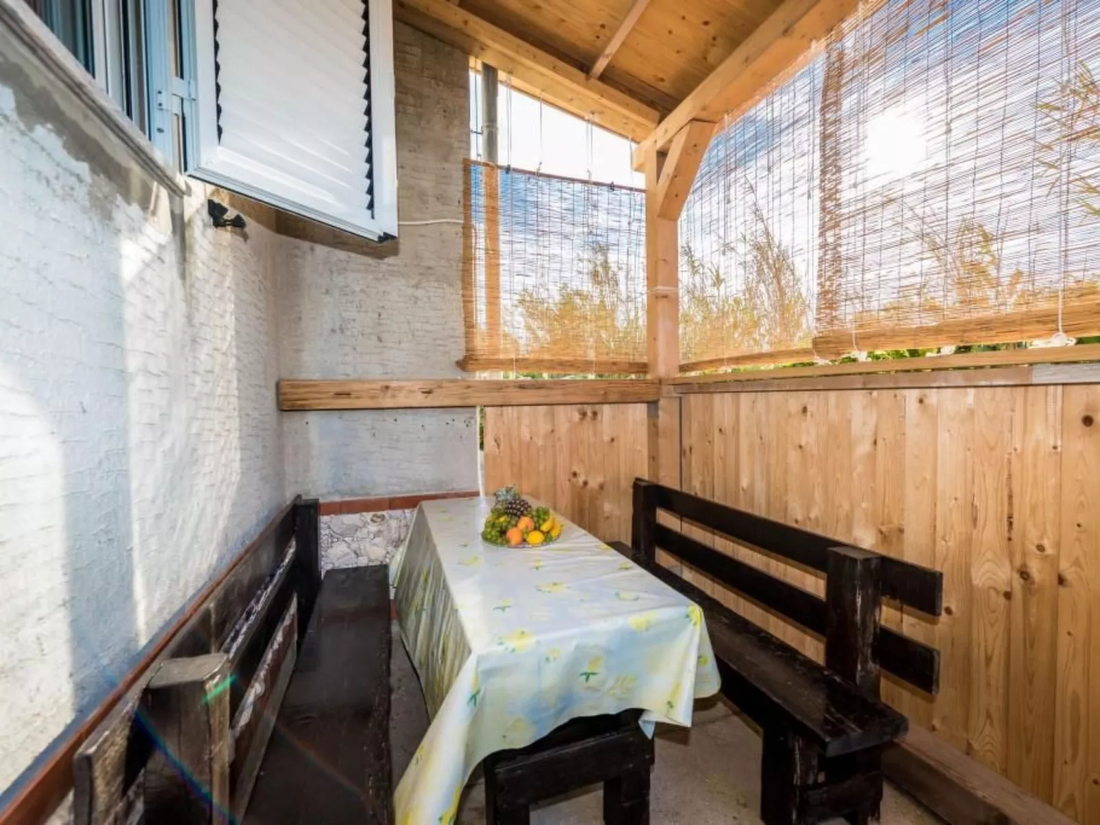 Delfin mit Meerblick - Agentur TA Leut-Image-tags.info