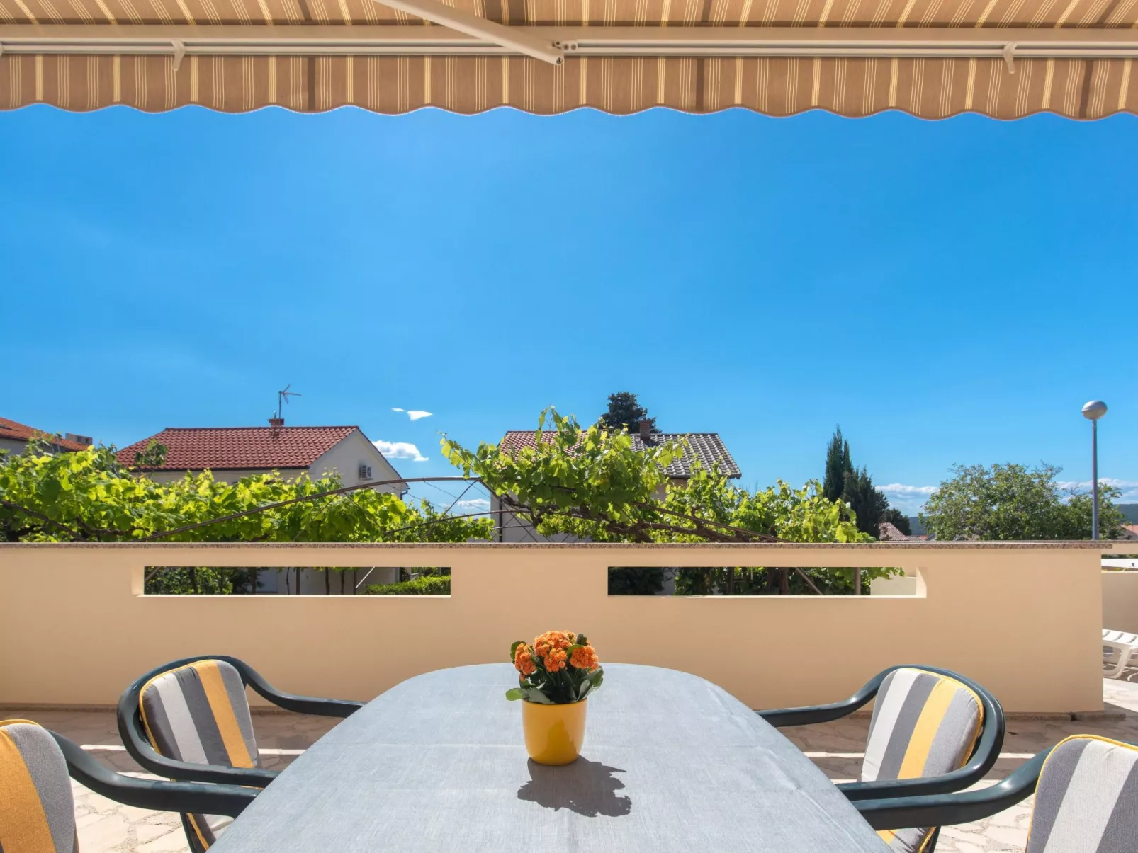 "Apartman Nikola"-Buiten