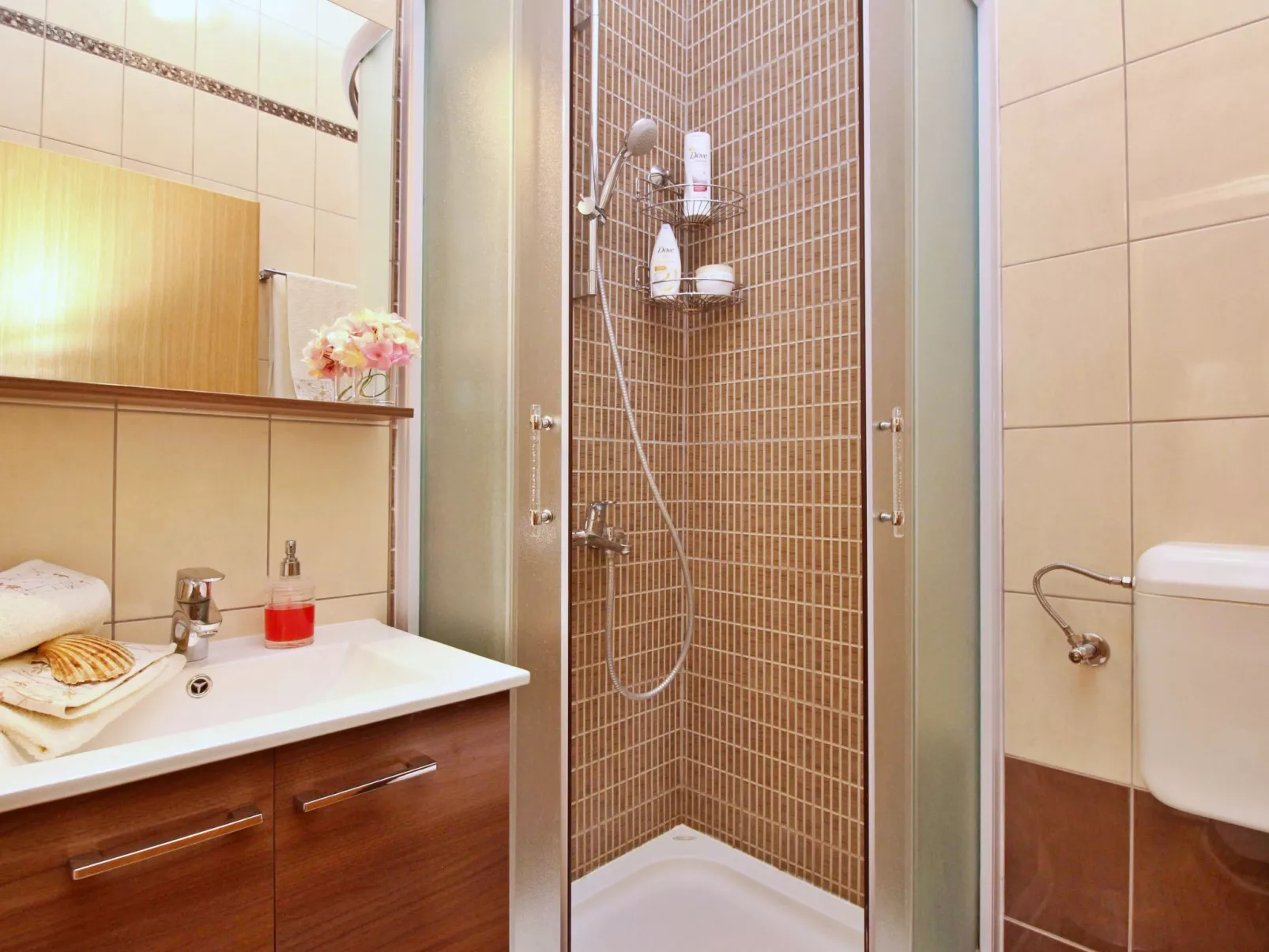 Apartment Ivanka-Binnen