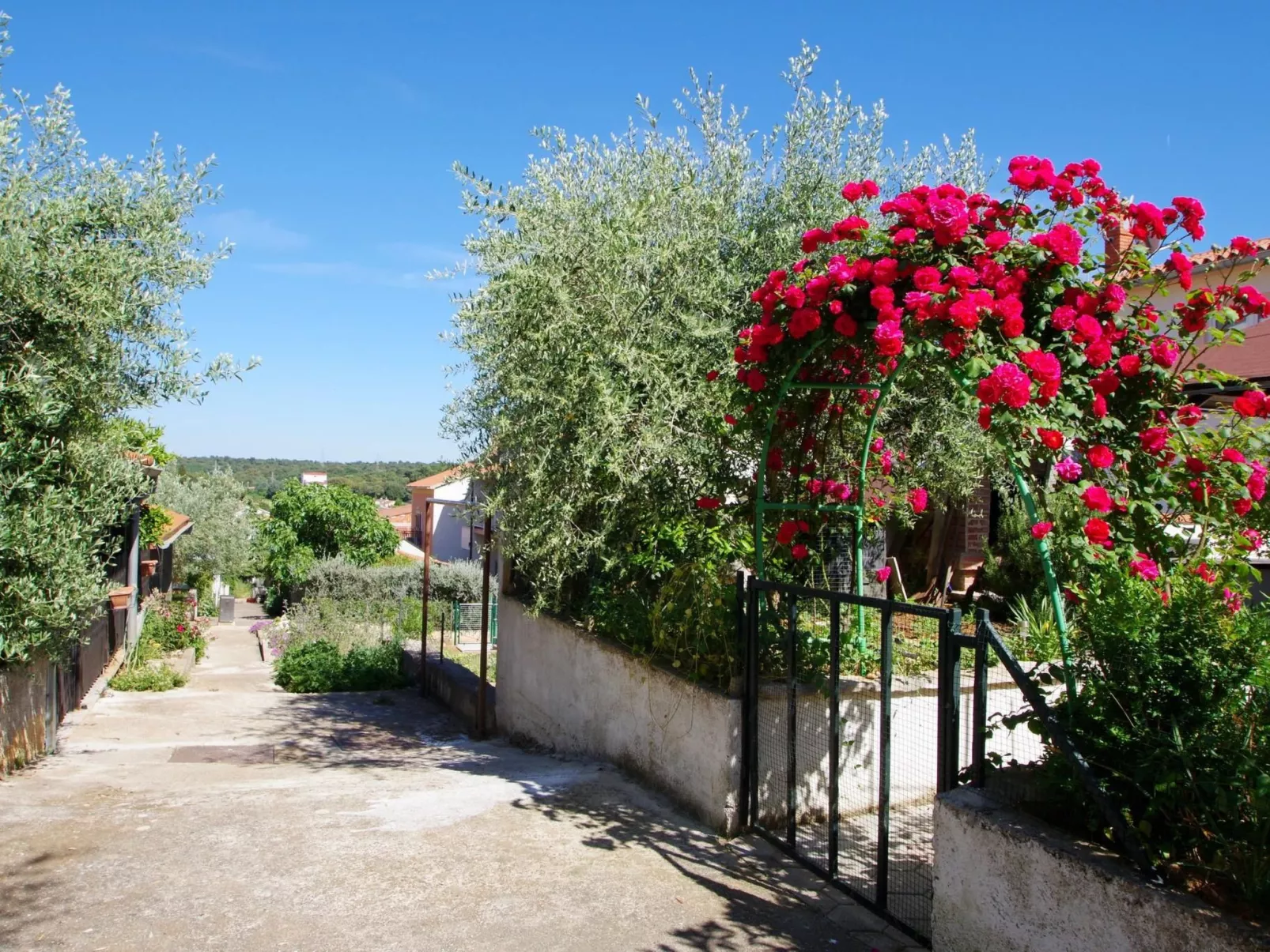 "Rose" mit Terrasse-Buiten