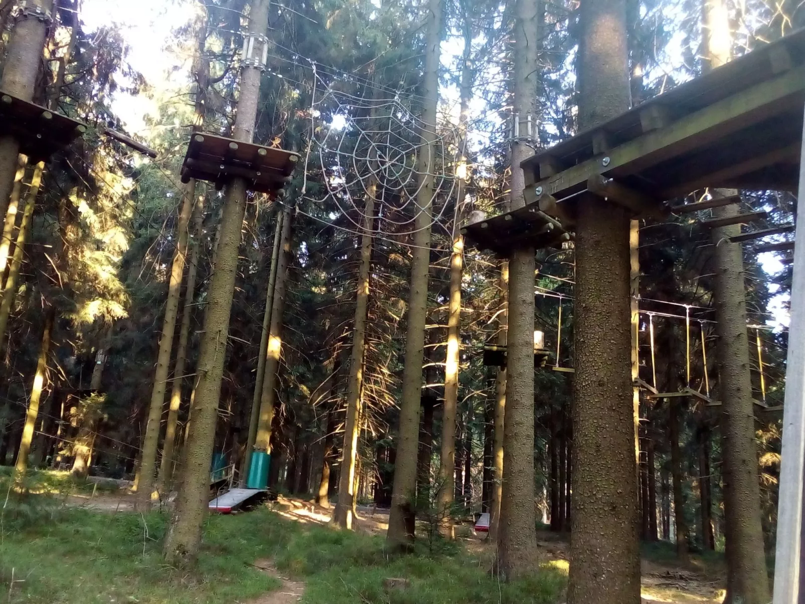 Sonnenschein in Sankt Englmar-Buiten