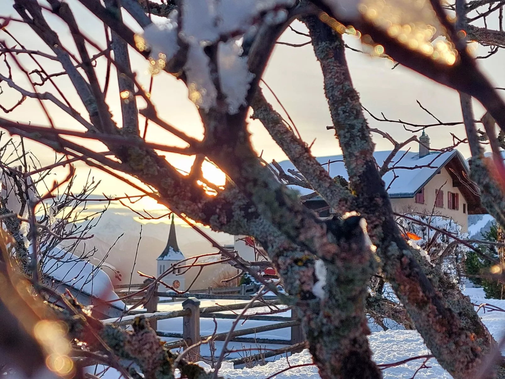 Aspa EG-Image-tags.info