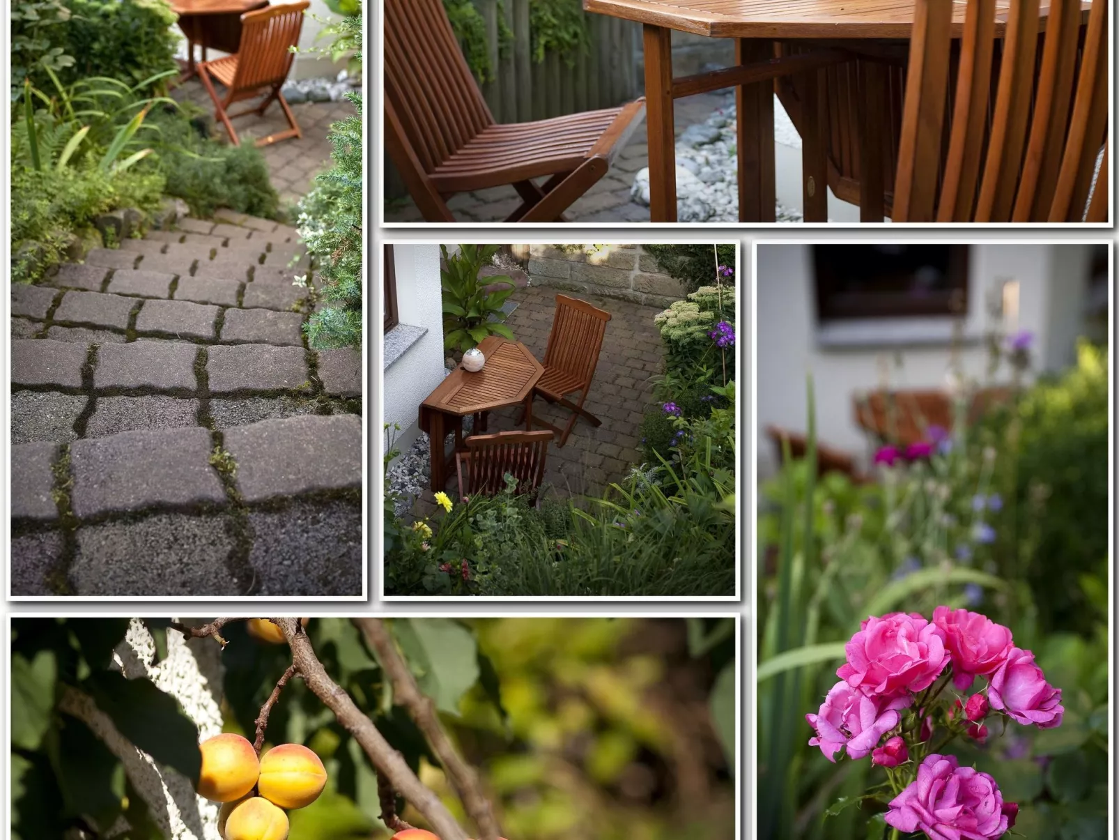 Fewo Ginkgo II-Image-tags.info