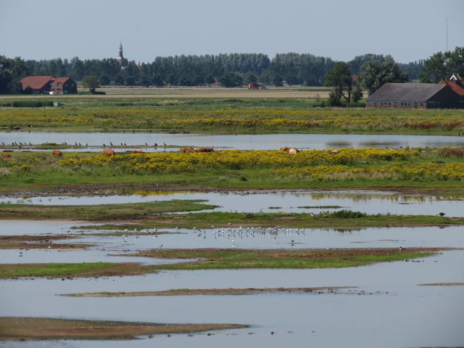 Neuer schöner Bungalow-Buiten