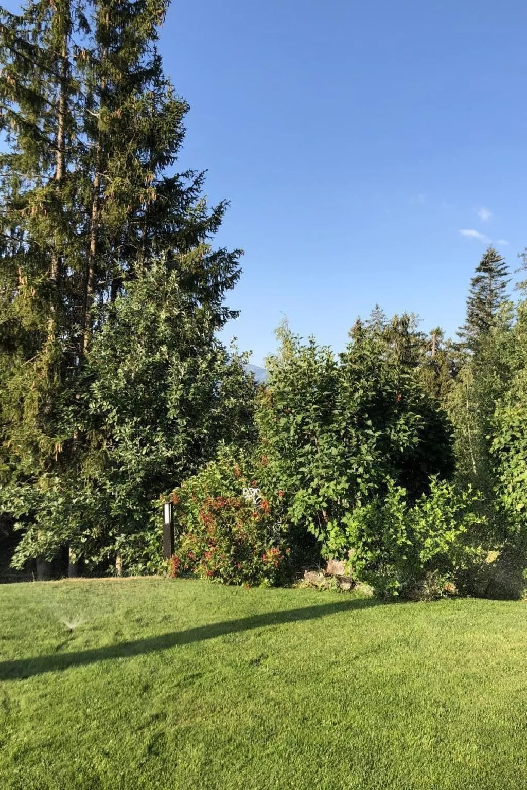 Chalet Mein Traum-Buiten