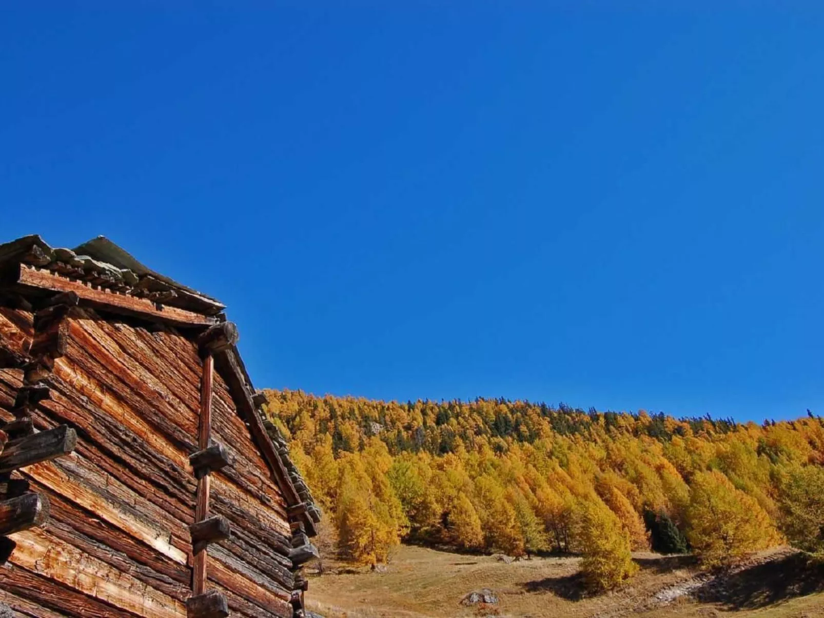 Chalet Nid d'Aigle - Mayen zu vermieten in Wallis-Image-tags.info