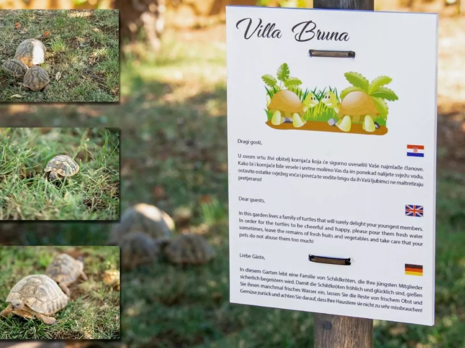 Villa "Bruna" mit privatem Pool-Buiten