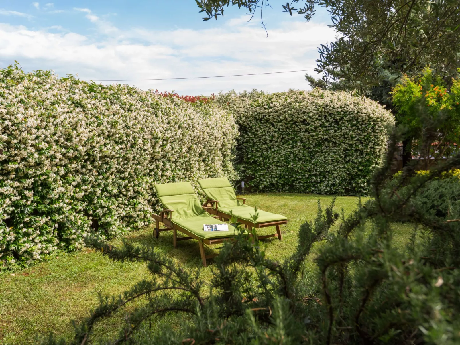 Green Marea-Image-tags.info