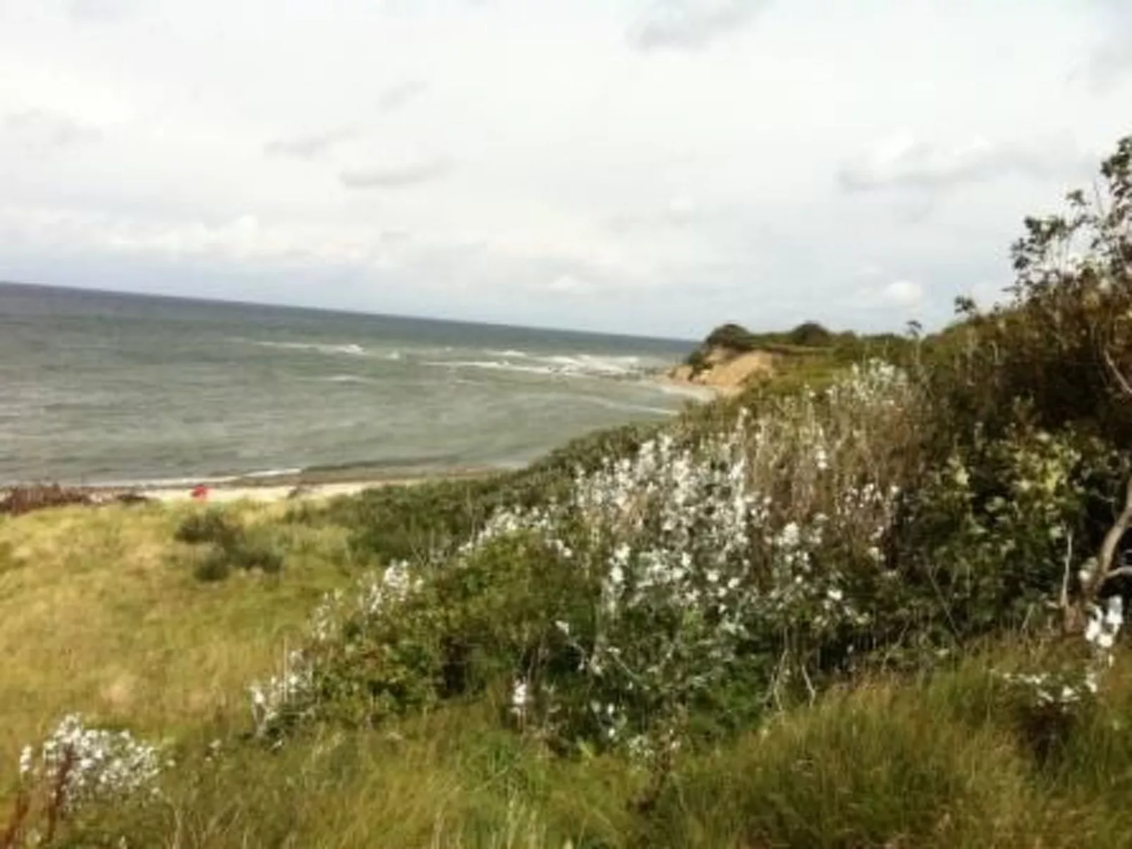 Froschhaus-Image-tags.info