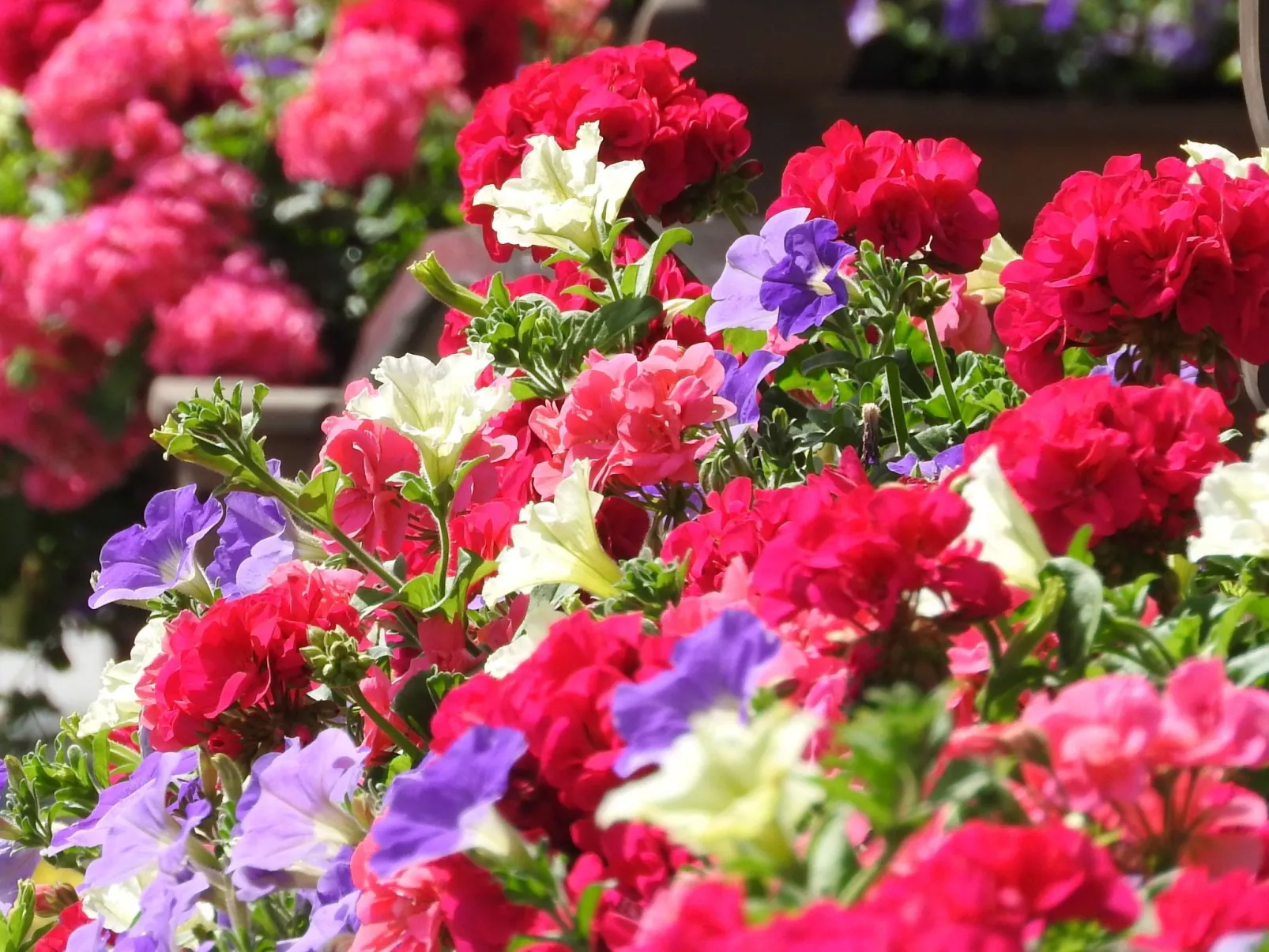 Appartement in Wildschönau-Niederau-Buiten