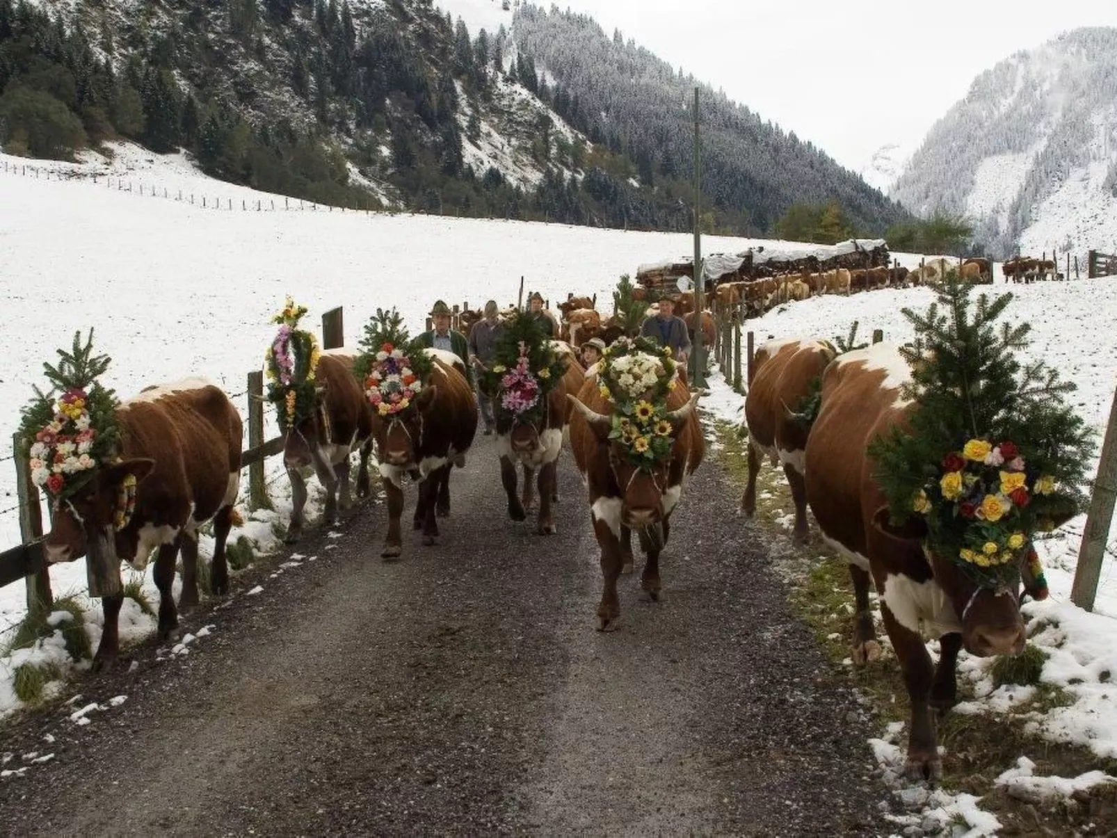 Sonnblick in Hollersbach im Pinzgau-Image-tags.info