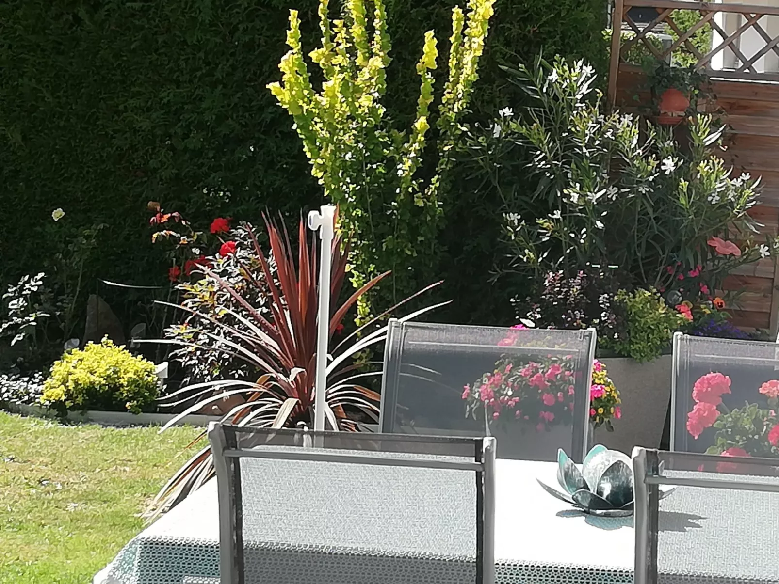 Rosa in Umhausen-Buiten