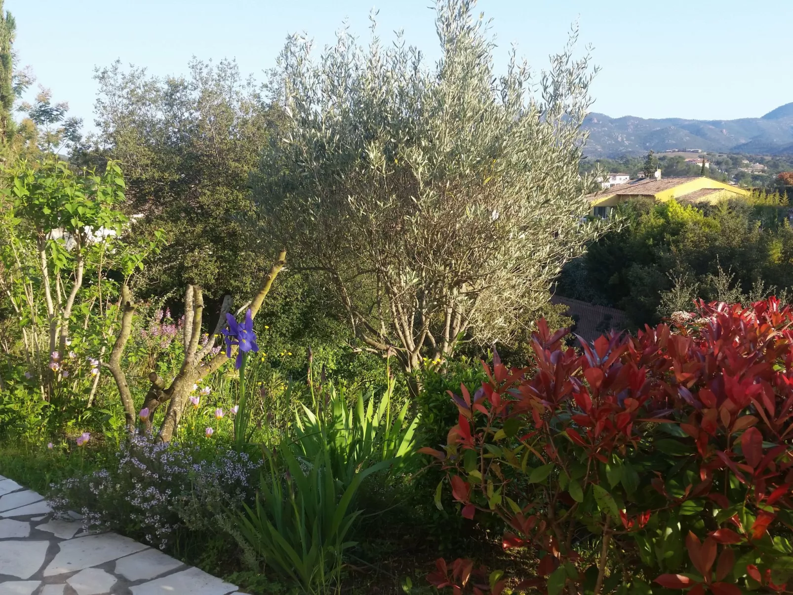 Die Sonne der Côte d'Azur-Buiten