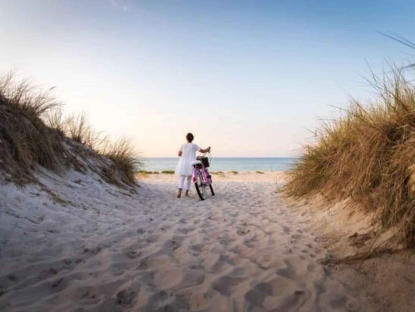 Jamie-Image-tags.info